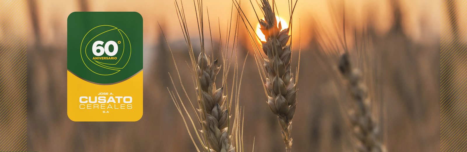home cusato cereales acopio de cereales trigo 60 anios